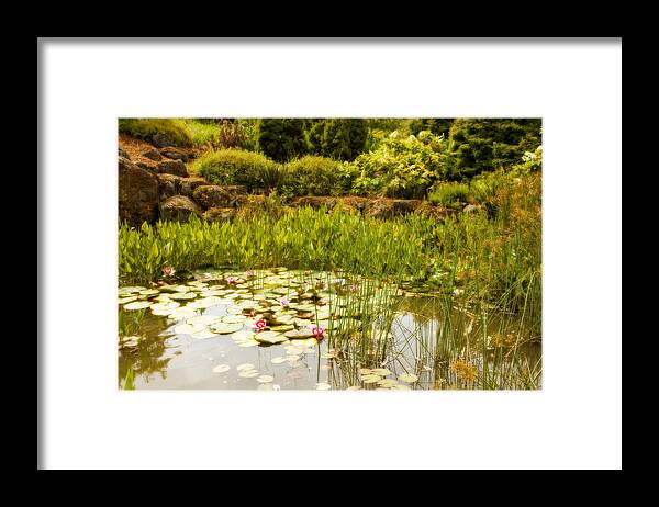 Water Lilies Framed Print featuring the photograph Water Lilies in the Garden by Bonnie Bruno