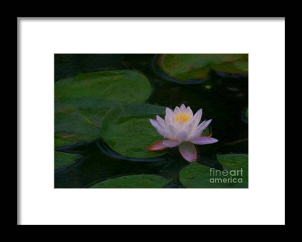Water Lily Framed Print featuring the digital art Water Lily Dreams by Jayne Carney