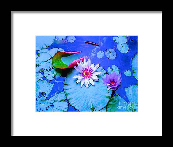 Water Framed Print featuring the photograph Water Lily I by Ann Johndro-Collins