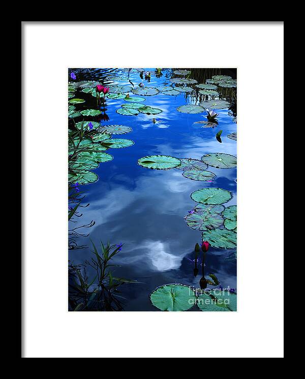 Water Framed Print featuring the photograph Water Lily Reflections by Nancy Mueller