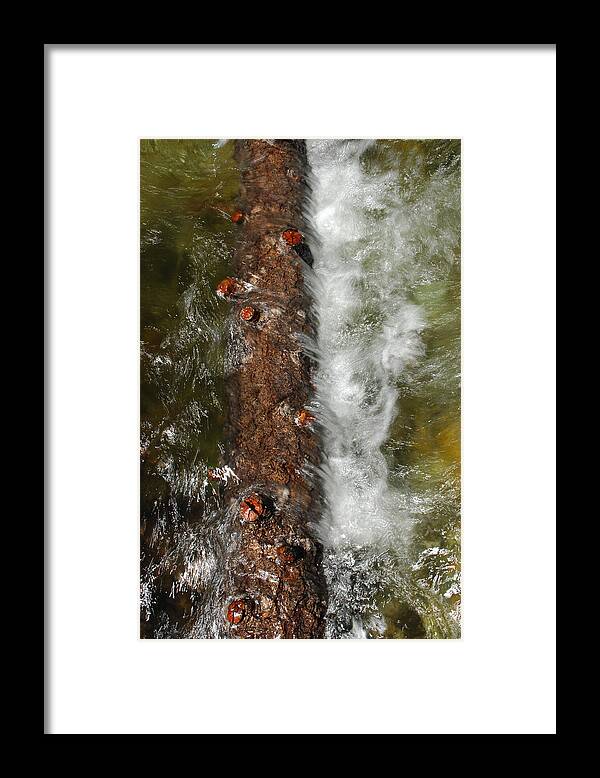 Water Framed Print featuring the photograph Water Logged by Donna Blackhall