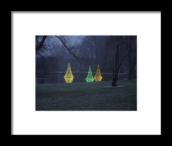 Gardens Framed Print featuring the photograph Water Xmas Lights by Richard Reeve
