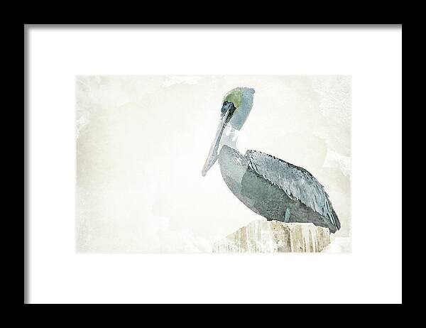 Watercolor Framed Print featuring the painting Watercolor Pelican by Lisa Hill Saghini