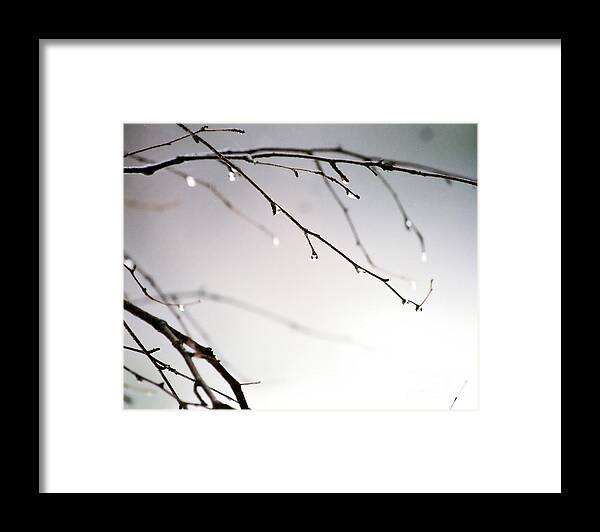 Water Drop Framed Print featuring the photograph Waterdrops by Phil Spitze