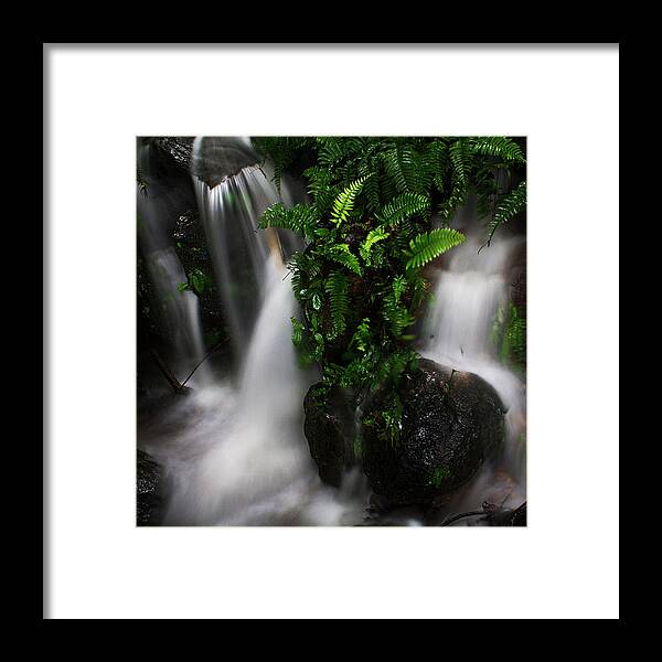 Tranquility Framed Print featuring the photograph Waterfall In Gavi, Kerala by Vidhu Photography