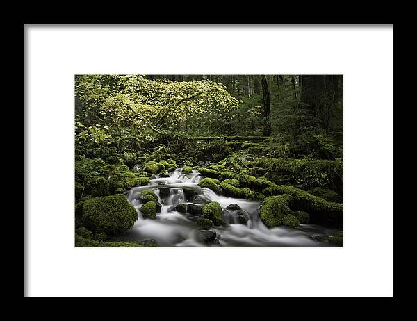 Washington State Framed Print featuring the photograph Waterfall In The Fall by Jonathan Davison