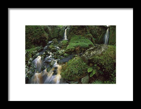 Feb0514 Framed Print featuring the photograph Waterfalls Amid Ferns And Mosses Gough by Tui De Roy