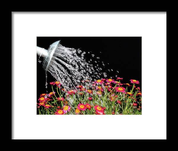 Care Framed Print featuring the photograph Watering Flowers by Chris Van Dolleweerd
