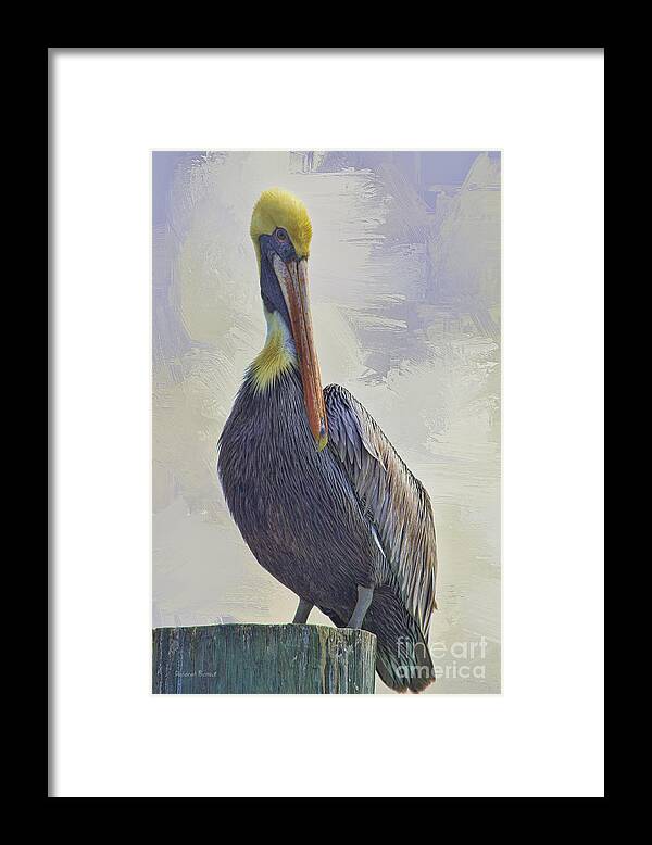 Pelican Framed Print featuring the photograph Waterway Pelican by Deborah Benoit