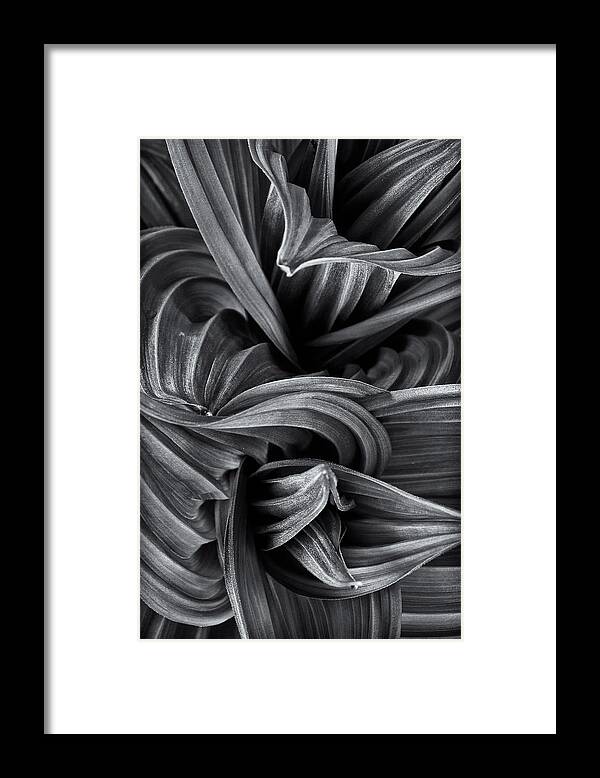 Abstract Framed Print featuring the photograph Wavy Not So Green by Jeff Sinon