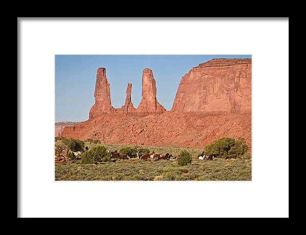 Mustangs Framed Print featuring the photograph Wayne Monument by Diane Bohna
