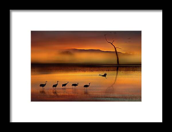 Lake Framed Print featuring the photograph We Are Here Waiting For You by Shenshen Dou