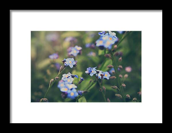 Quarryhill Botanical Garden Framed Print featuring the photograph We Lay With the Flowers by Laurie Search