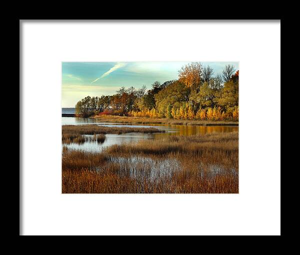 Weborg Point Framed Print featuring the photograph Weborg Point by David T Wilkinson