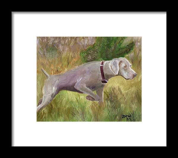 Weimaraner Dog Painting Framed Print featuring the painting Weimaraner Point by Mary Jo Zorad