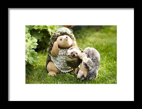 Mrs. Hedgie Framed Print featuring the photograph Welcome Brother by Spikey Mouse Photography