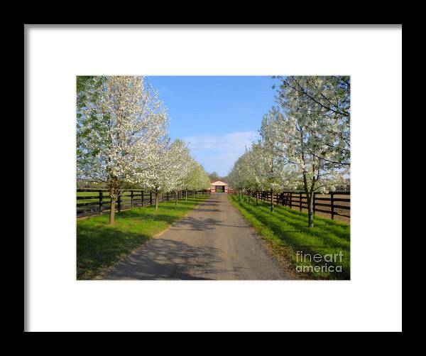 Landscape Framed Print featuring the photograph Welcome to the farm by Sami Martin