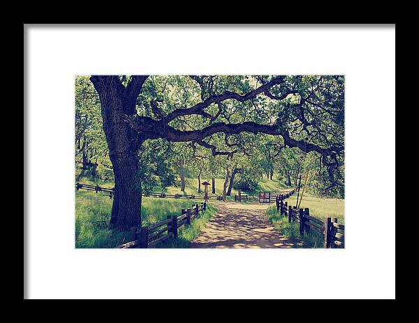 Mt. Diablo State Park Framed Print featuring the photograph Welcoming by Laurie Search