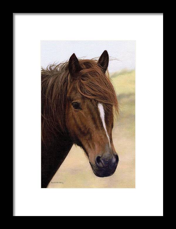 Pony Framed Print featuring the painting Welsh Pony Painting by Rachel Stribbling