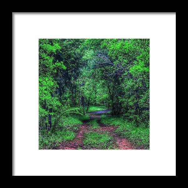 Hiking Framed Print featuring the photograph Old Alton Trail by Ed Davis