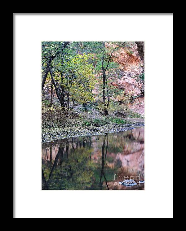 West Fork Framed Print featuring the photograph West Fork Reflection by Tamara Becker