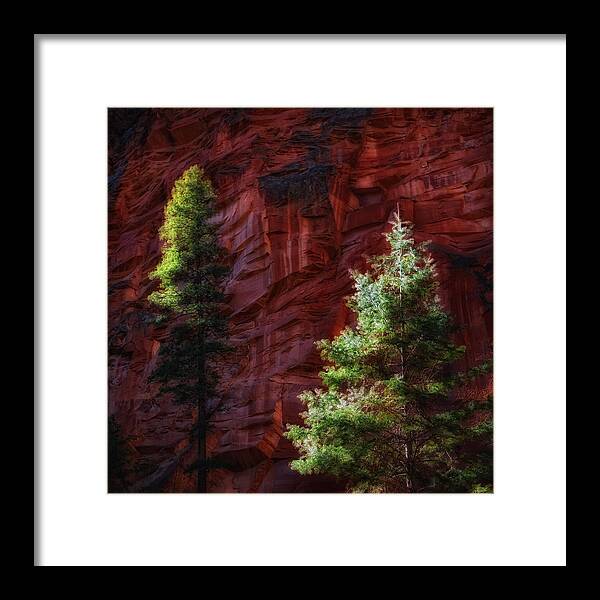 Red Rock Framed Print featuring the photograph West Fork Rock Face Number Three by Bob Coates