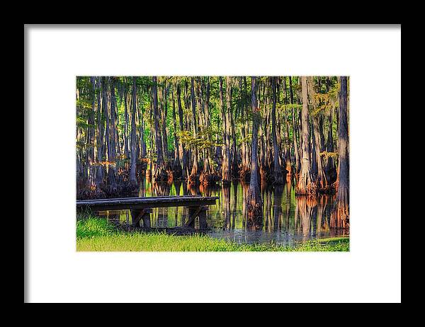 Swamp Framed Print featuring the photograph West Monroe Swamp Dock by Ester McGuire
