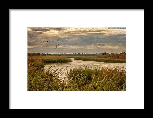 Marsh Framed Print featuring the photograph Wetlands in September by Cathy Kovarik