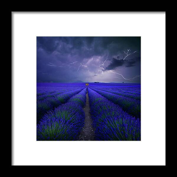 Lavendel Framed Print featuring the photograph Wetter Im Lavendelfeld by Franz Schumacher