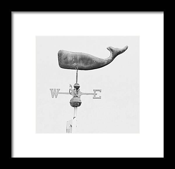 Whale Framed Print featuring the photograph Whale in the Sky by HW Kateley