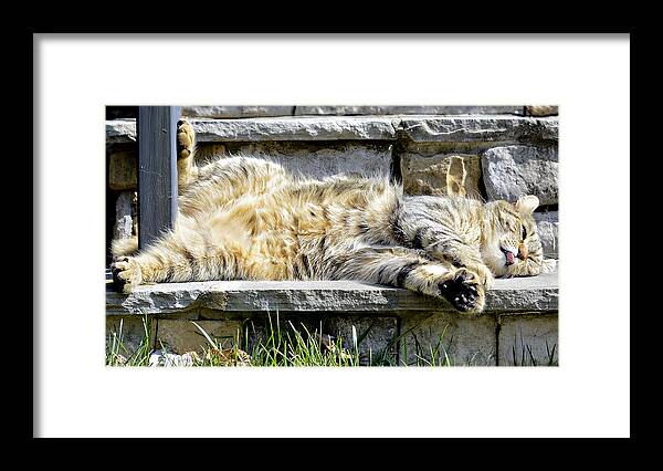 Gray Framed Print featuring the photograph What A Day by Susan Leggett