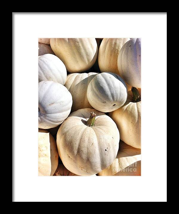 White Pumpkins Framed Print featuring the photograph What Ghost Pumpkins by Susan Garren