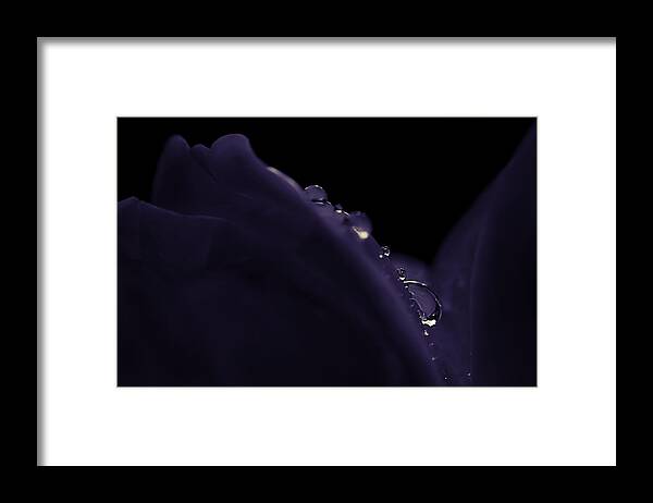 Flower Framed Print featuring the photograph What Lies Beneath by Craig Szymanski