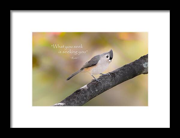 Quote Framed Print featuring the photograph What You Seek by Bill Wakeley