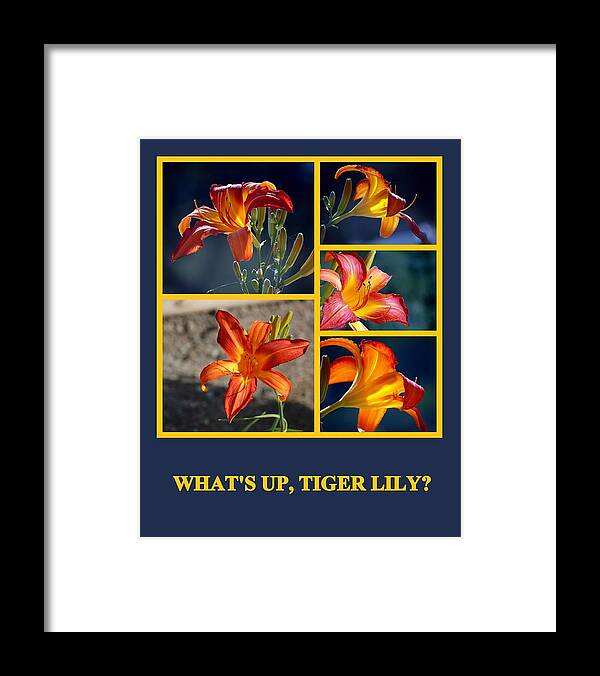 Flowers Framed Print featuring the photograph What's Up Tiger Lily by AJ Schibig