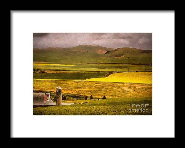 Palouse Framed Print featuring the photograph Wheat and Canola Fields of Palouse by Priscilla Burgers