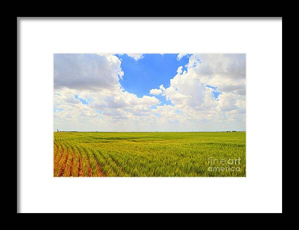 Wheat Field Framed Print featuring the photograph Wheat Field in Scott County in Kansas by Catherine Sherman