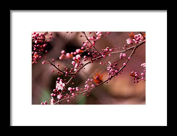 Faa_export Framed Print featuring the photograph When two become one by Kunal Mehra