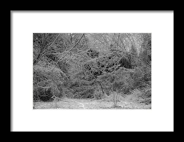 Ice Framed Print featuring the photograph Where Is The Trail by Daniel Reed