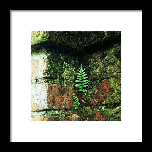 Determination Framed Print featuring the photograph Where There Is A Will by John Glass