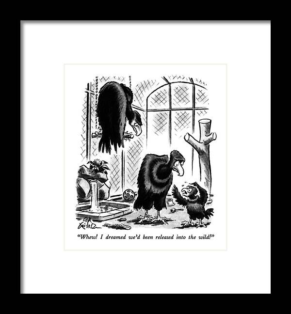 

 Baby Condor To Parents In Cage. Zoo Framed Print featuring the drawing Whew! I Dreamed We'd Been Released Into The Wild! by Ed Fisher