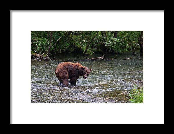 Alaska Framed Print featuring the photograph Which Way To Go by Jean Clark
