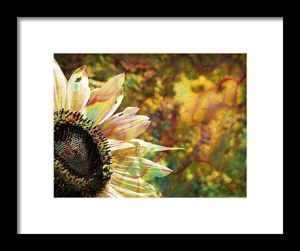 Sunflower Framed Print featuring the photograph Whimsical Sunflower by Luke Moore