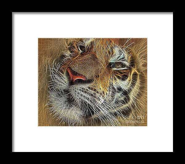 Photography Framed Print featuring the photograph Whiskers of the Tiger by Kaye Menner