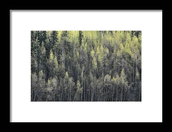 Color Framed Print featuring the photograph Whisper by Dawn J Benko