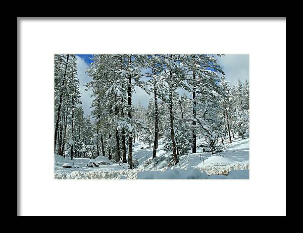 Landscape Framed Print featuring the photograph Whispering Snow by Matalyn Gardner