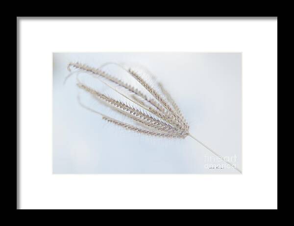 Blue Sky Framed Print featuring the photograph Whispering Weed by Vicki Ferrari