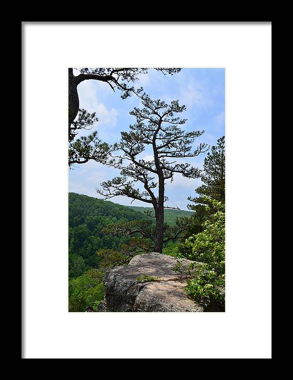 Whitaker Point Framed Print featuring the photograph Whitaker Point Trail by Laureen Murtha Menzl