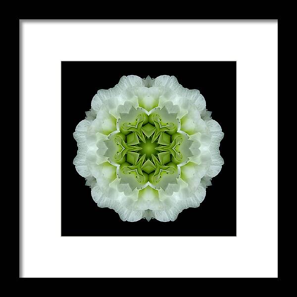 Flower Framed Print featuring the photograph White and Green Begonia Flower Mandala by David J Bookbinder
