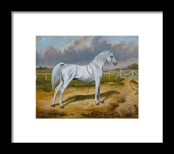 Horse Framed Print featuring the painting White arabian stallion by Irek Szelag